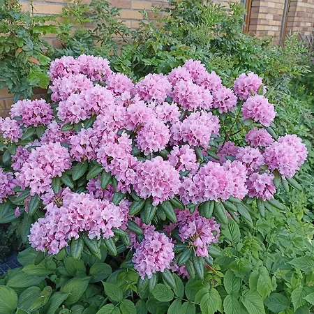 Dom Turysty Na Skarpie Μάλμπορκ