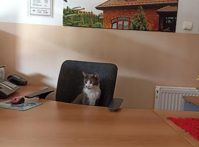 Pansiyon Dom Turysty Na Skarpie Malbork